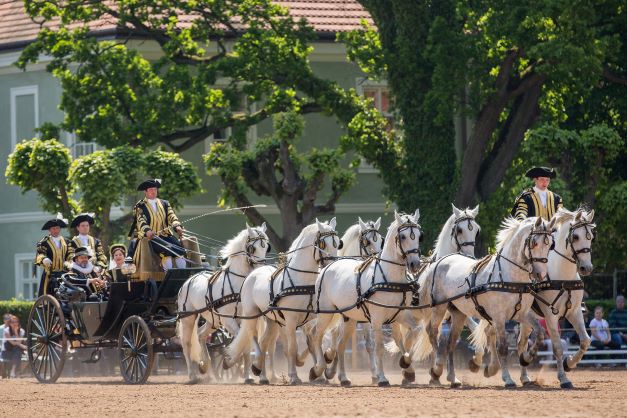 Nová výstava představí světový klenot – Krajinu pro chov a výcvik ceremoniálních kočárových koní v Kladrubech nad Labem